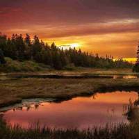 舉世震驚‖中國刑偵大案