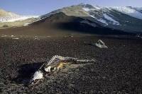 新疆探秘錄.03.生命禁區