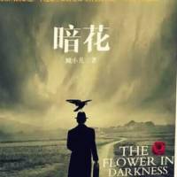 暗花 （諜戰(zhàn)小說(shuō)）