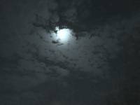 致敬鬼馬星：《被偷走的秘密》