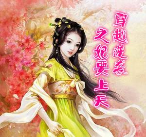 穿越逆襲之妃要上天
