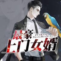最豪上門女婿