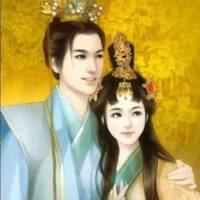 穿越郡主小醫(yī)妃