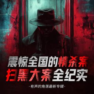 震驚全國(guó)的情殺案掃黑大案全紀(jì)實(shí)