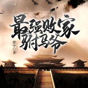 最強(qiáng)敗家駙馬爺