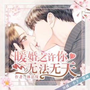 暖婚之許你無法無天