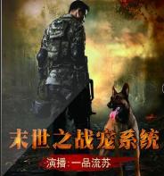末世之戰寵系統