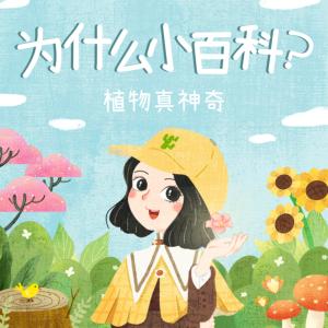 科普十萬個問答為什么：植物真神奇