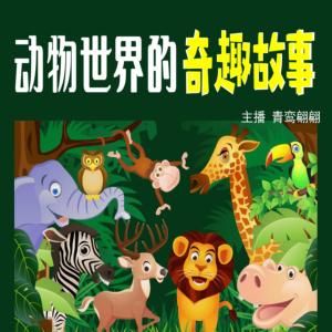 動物世界的奇趣故事