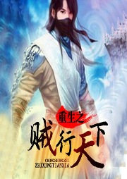 重生之賊行天下