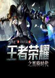 王者榮耀之黑騎時(shí)代