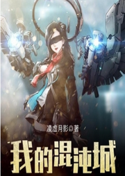 我的混沌城 /虛擬網(wǎng)游