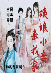 姨娘小妾來我家