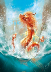 從鯉魚開始加點化龍
