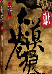 大漠蒼狼-絕密飛行