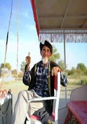 人情里的經典散文