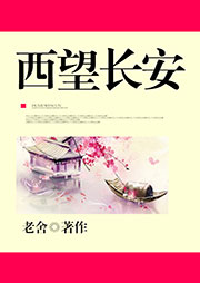 西望長安