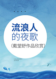 流浪人的夜歌