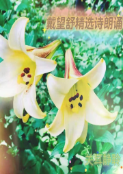 雨巷詩人戴望舒精選詩朗誦