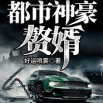 都市神豪贅婿