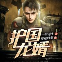護國龍婿