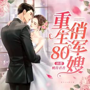 重生80俏軍嫂