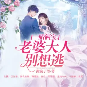 一胎倆寶老婆大人別想逃多人有聲劇