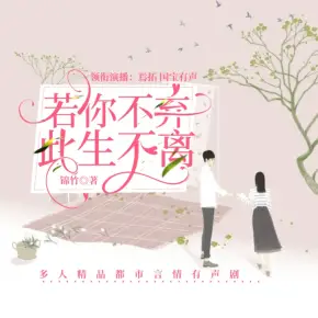 狄仁杰之黑衣社