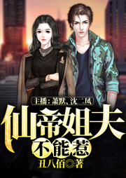 仙帝姐夫不能惹
