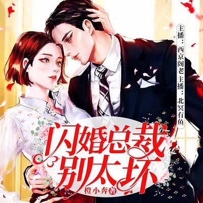 閃婚總裁別太壞