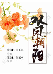 黃梅戲：雙鳳朝陽