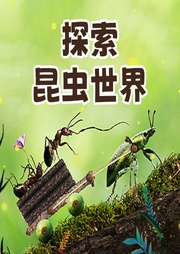探索昆蟲世界