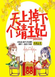 天上掉下個靖王妃