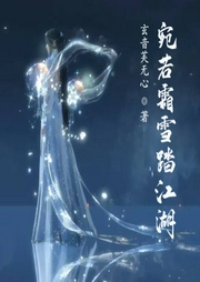 宛若霜雪踏江湖
