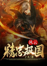 風云：精忠報國