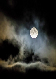 明月曾照江東寒