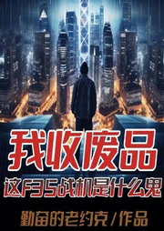 我收廢品，這F35戰機是什么鬼