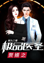 贅婿之極品醫圣