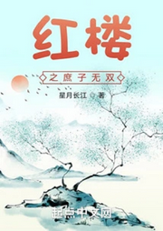 紅樓之庶子無(wú)雙
