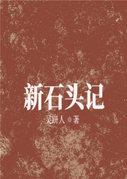 新石頭記