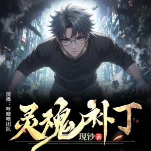 靈魂補(bǔ)丁