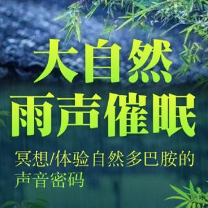 大自然雨聲催眠